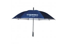 Qianqian Umbrella-23 inch straight umbrella 030