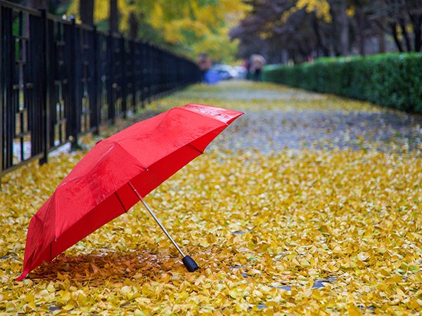 Knowledge about the maintenance of umbrellas